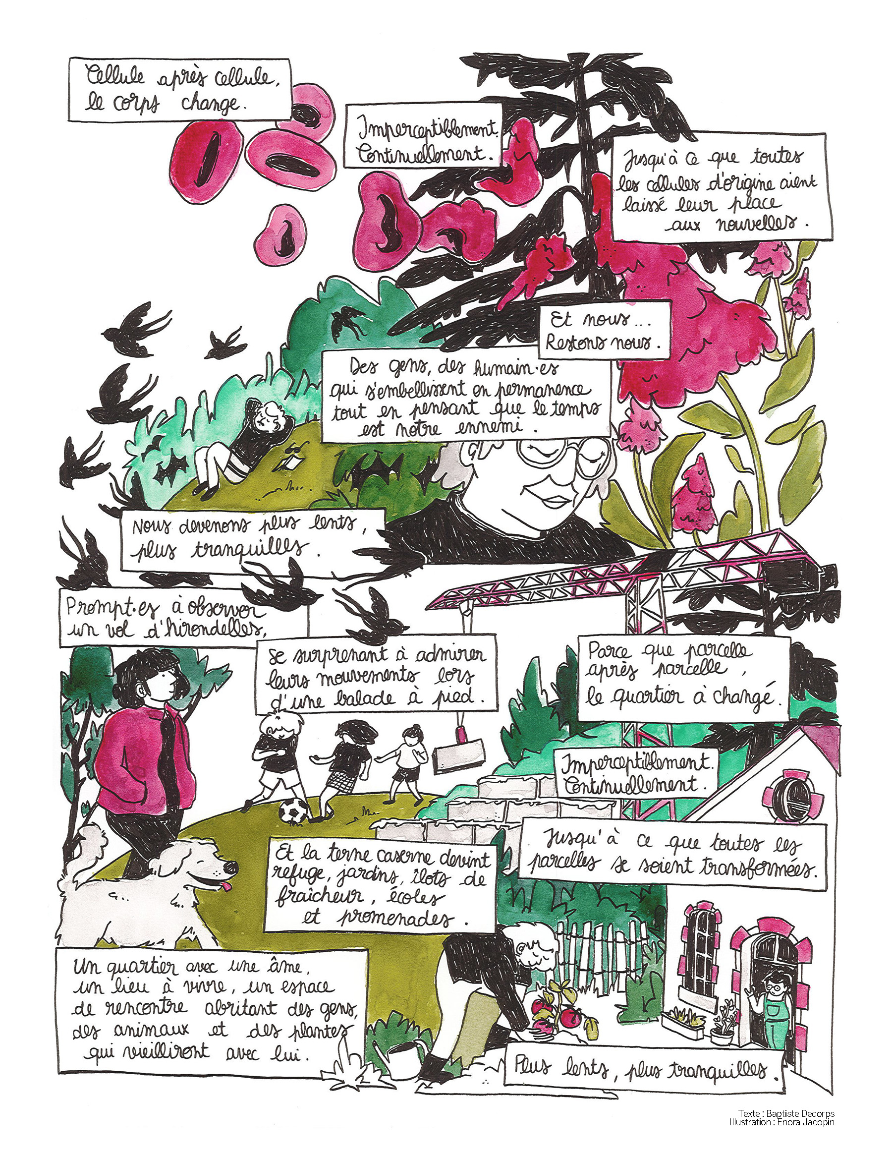 Texte de Baptiste Decorps, illustration par Enora Jacopin