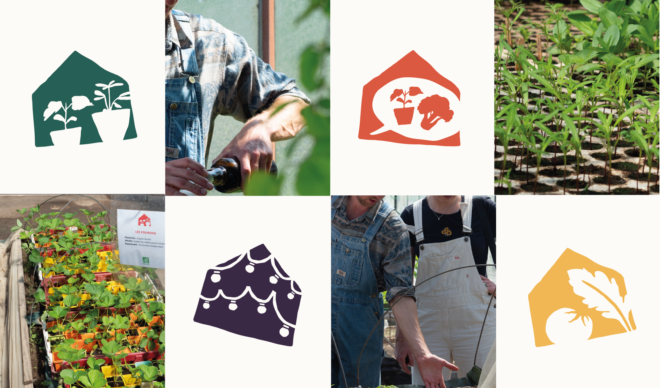 java ferme sorinières identité visuelle