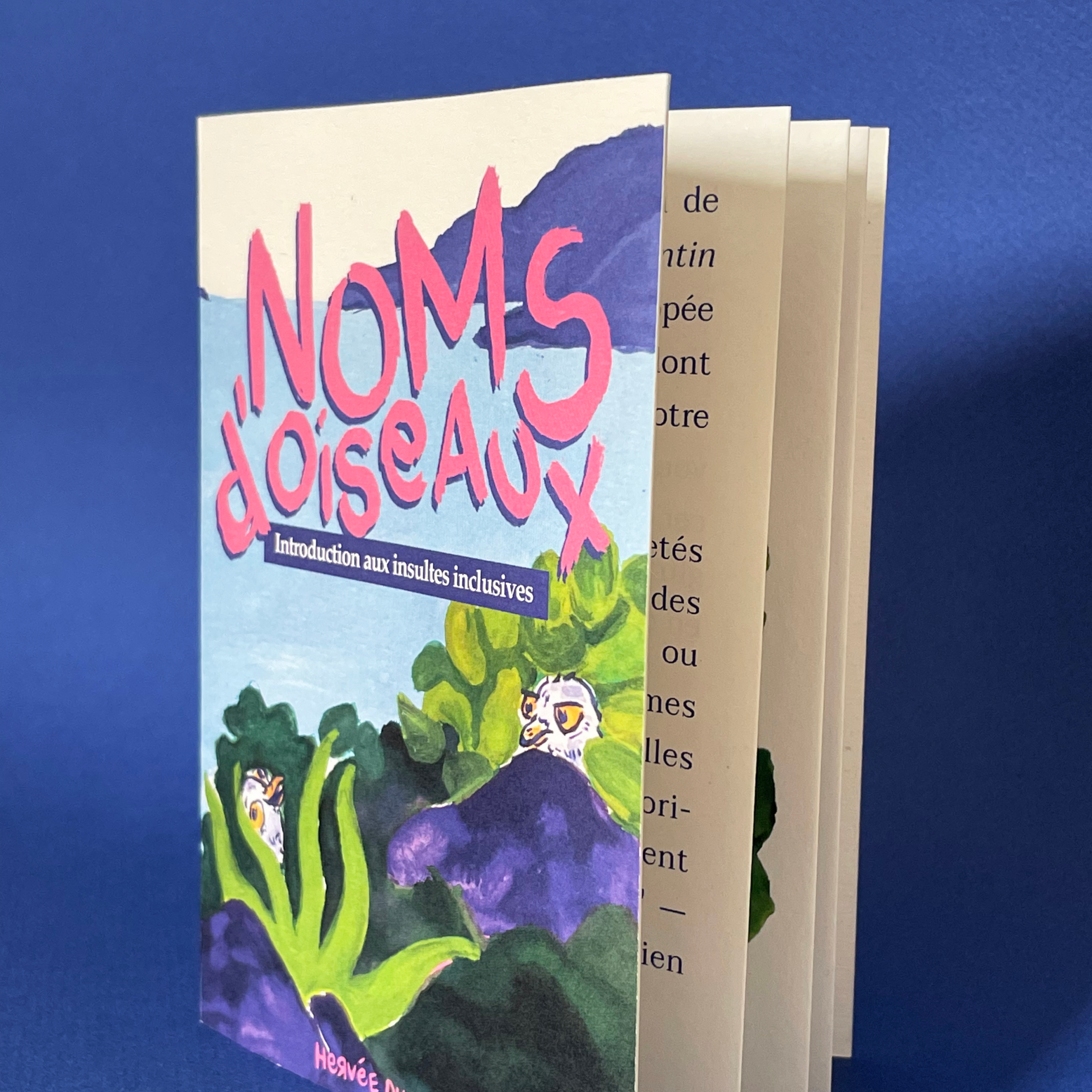 Fanzine Noms d'Oiseaux